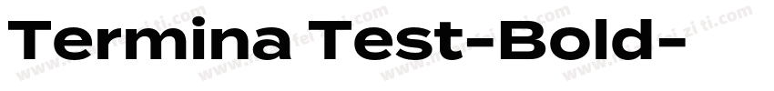 Termina Test-Bold字体转换